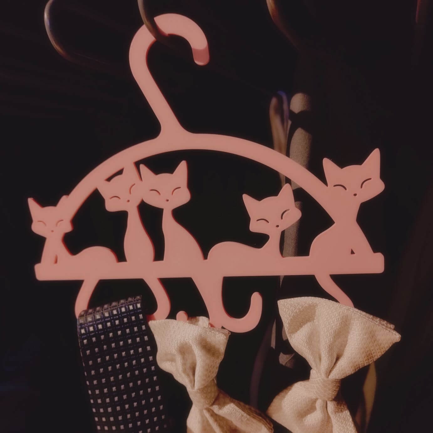 Cats Clothes Hanger