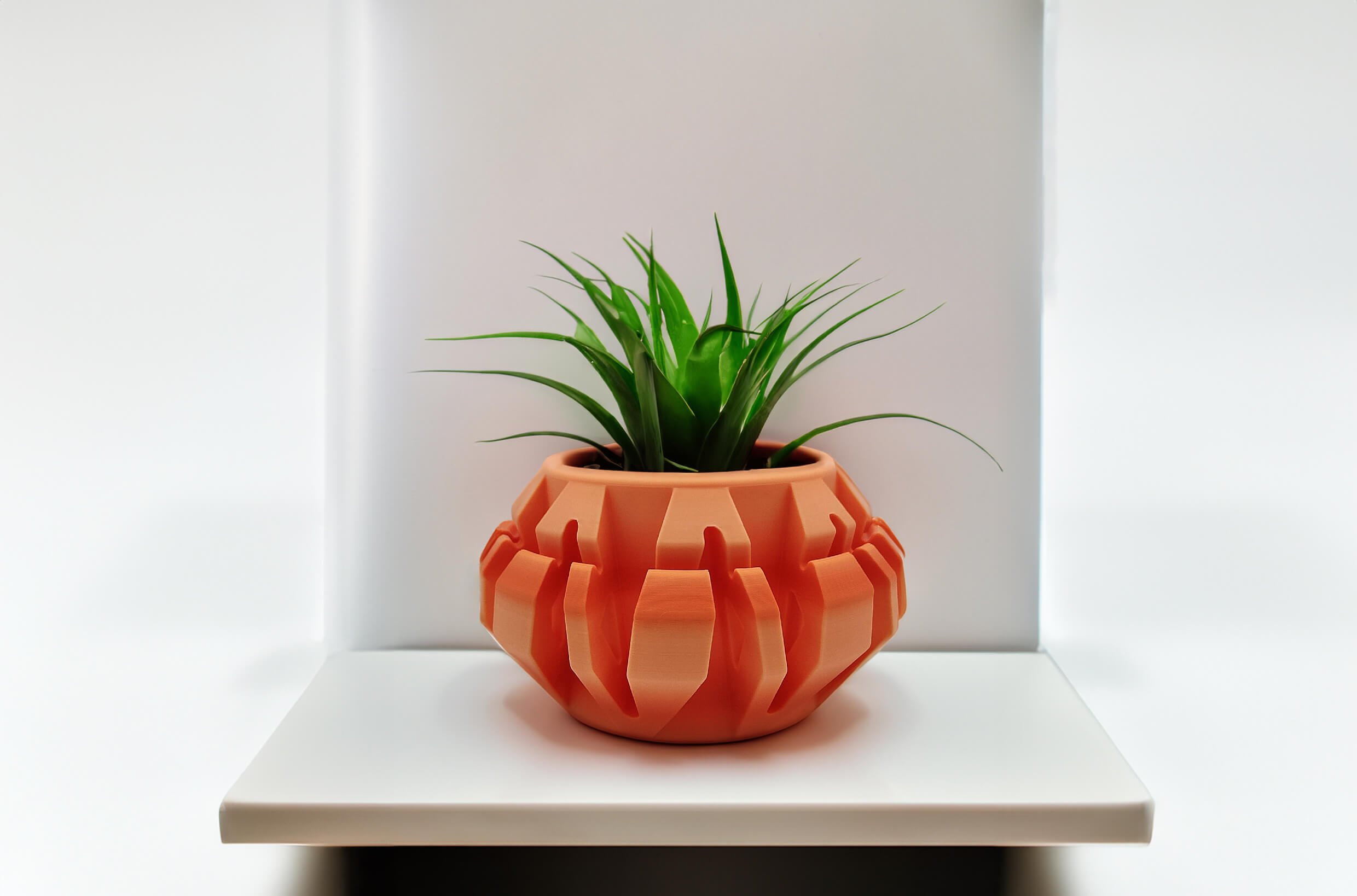 Modelli - Giardinaggio